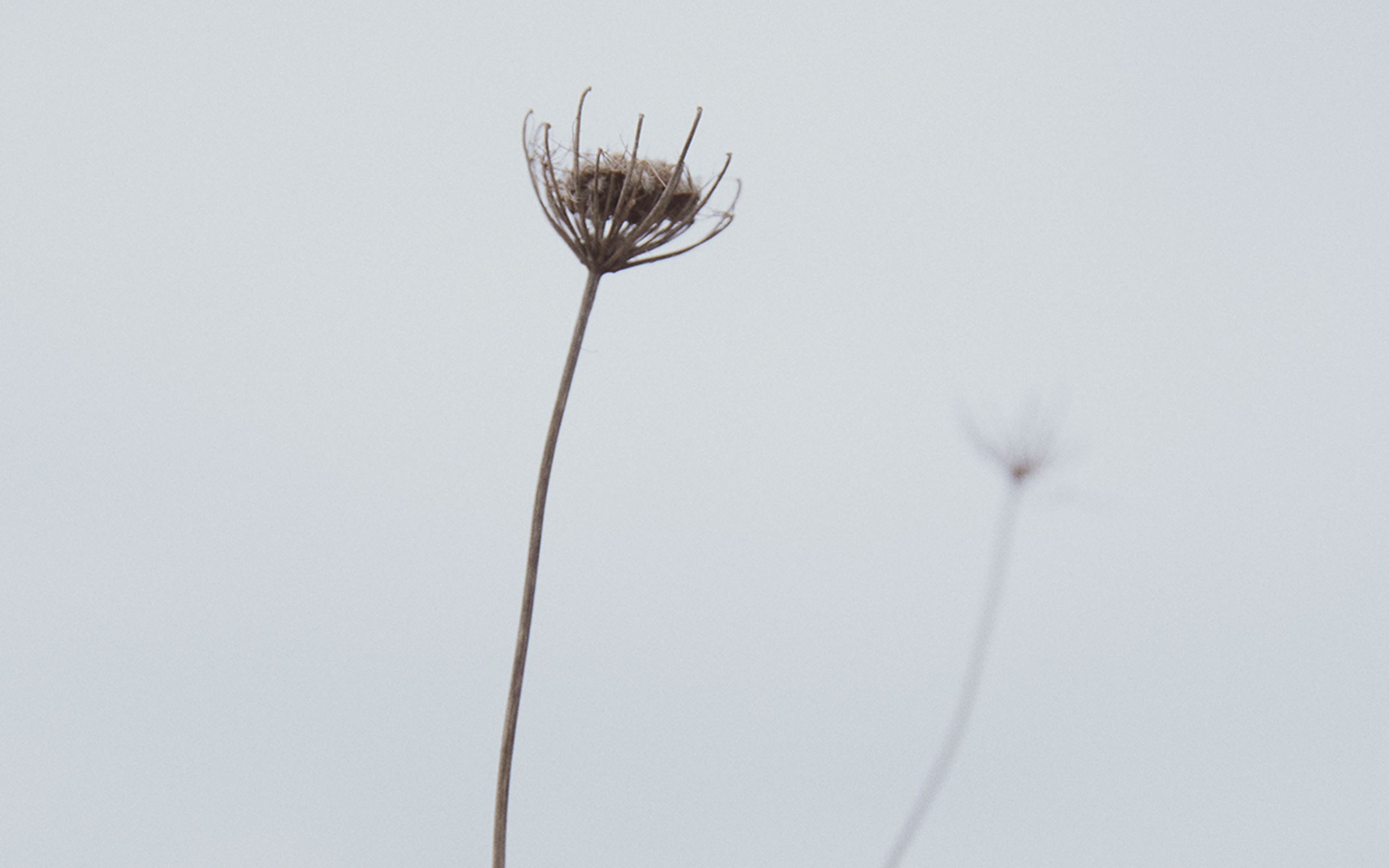 230329 Dline X Femte Til Venstre 0U8A2349