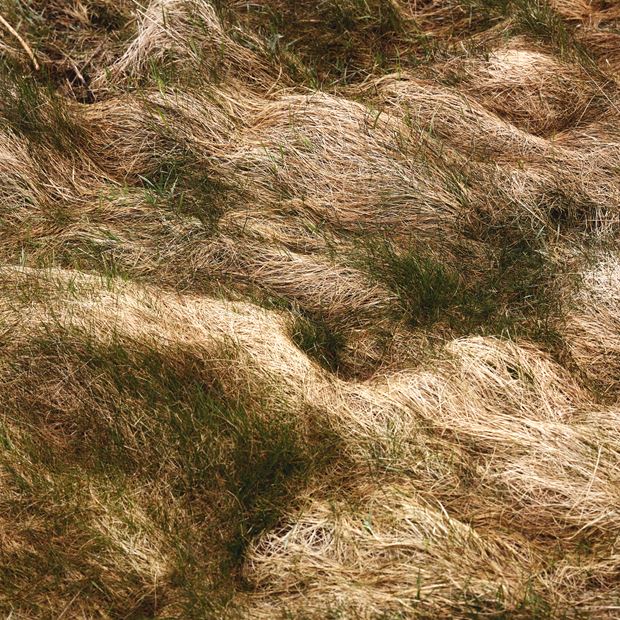 230329 Dline X Femte Til Venstre 0U8A2375