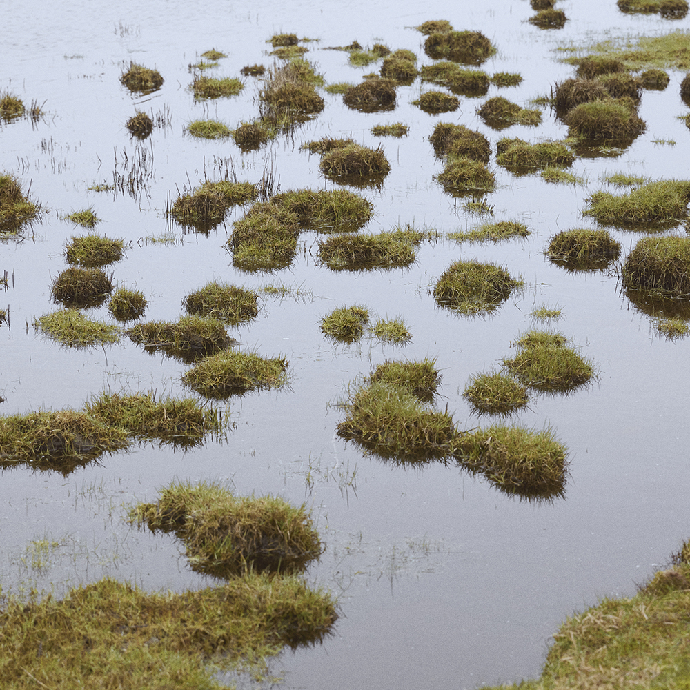 230329 Dline X Femte Til Venstre 0U8A2328